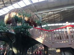 -南宫五洲植物乐园