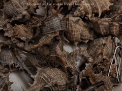 -有间冰室(侨港风情街店)