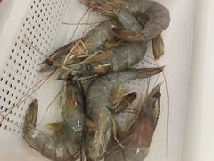 -牛吉韵·鲜切牛肉自助火锅(南山店)