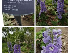 -国家植物园