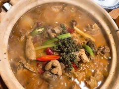 花椒肥肠鸡煲-十六蒲(桂林路店)