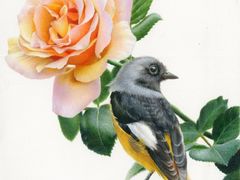 -八哥美术·成人美术画室(总校区)