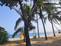 -逸廊大堂吧(三亚海棠湾万丽度假酒店)