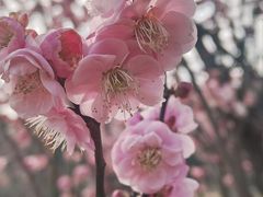 -蜀冈西峰生态公园