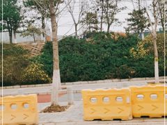 -开元食府(长兴路店)