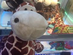 -PAWTOY爪e玩偶店(天兴罗斯福店)