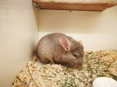 -龙猫仔乐园(惠福东路店)