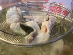 -金砂阿洲鱼册店