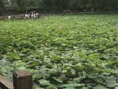 -迎泽公园