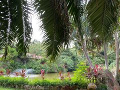 -海南热带野生动植物园