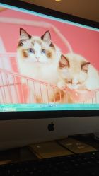 -巴黎时尚婚纱摄影(南汇店)