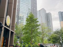 -京A Taproom·精酿餐吧(CBD店)