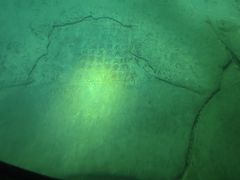 -白鹤梁水下博物馆