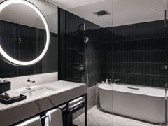 -新加坡乌节希尔顿酒店 (SG Clean)