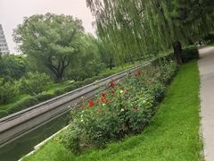-元大都城垣遗址公园