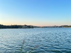 -仙湖旅游度假区