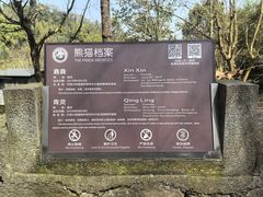 -都江堰中华大熊猫苑