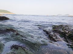 -傅家庄公园