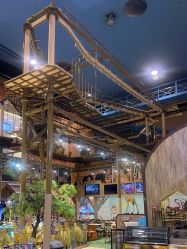 -卡通尼·Safari非洲探索乐园·生日会(金桥国际商业广场店)