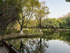 -望江楼公园