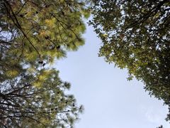 -艾溪湖湿地公园