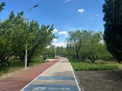 -绿堤公园