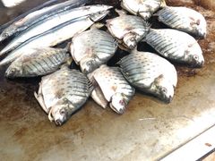 -南湖名都·景湖轩全日制餐厅·海鲜自助·东南亚风味·临湖而食