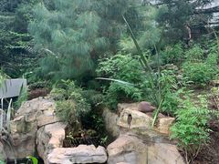 -南山植物园