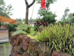 -悦哉·派对·草坪婚礼·围炉煮茶(三圣乡店)