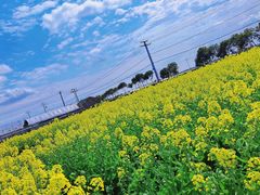 -温州龙湾国际机场