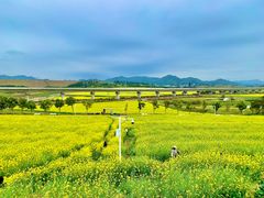 -光明小镇欢乐田园