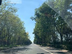 -日照海滨国家森林公园