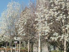 -河南财经政法大学(郑东校区)