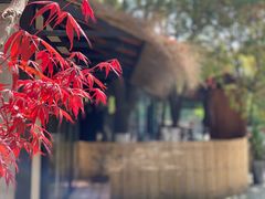 -苏州本色美术馆