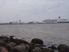 -吴淞炮台湾湿地森林公园烧烤区