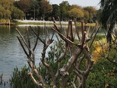 -映月湖公园