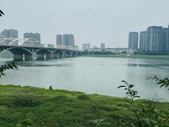 -王浩儿纪六孃甜皮鸭(乐山总店)