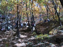 -吉林市朱雀山国家森林公园