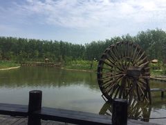 -合肥滨湖国家森林公园