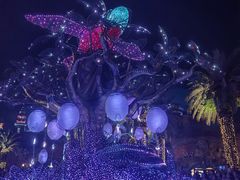 -珠海长隆海洋王国