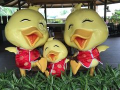 -厦门日月谷温泉渡假村