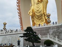 -庐山风景名胜区-东林大佛