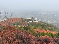 -北京西山国家森林公园