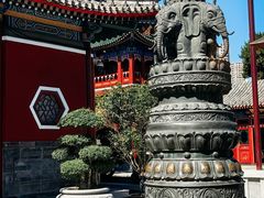 -天津大悲禅院
