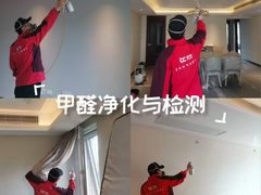 -浙大冰虫甲醛检测治理(闵行店)