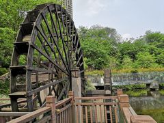 -重庆彩云湖湿地公园