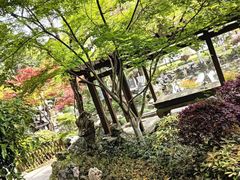 -浙江西子宾馆·瑶园咖啡厅