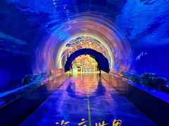 -海合安天津极地海洋公园