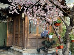 -桂满陇天书(南京德基旗舰店)