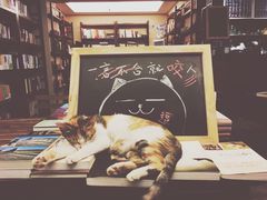 -看书吧(体育东横路店)